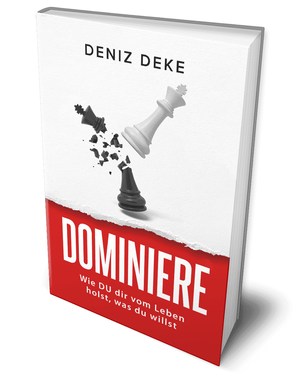 „Dominiere dein Leben“: Ein Erfahrungsbericht über Verantwortung, Versagen und den Mut, neu anzufangen